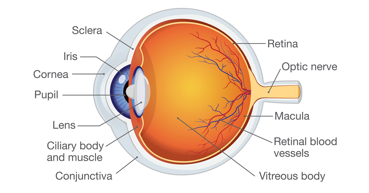 eye-floaters-what-causes-them-and-when-to-see-a-doctor-nebraska